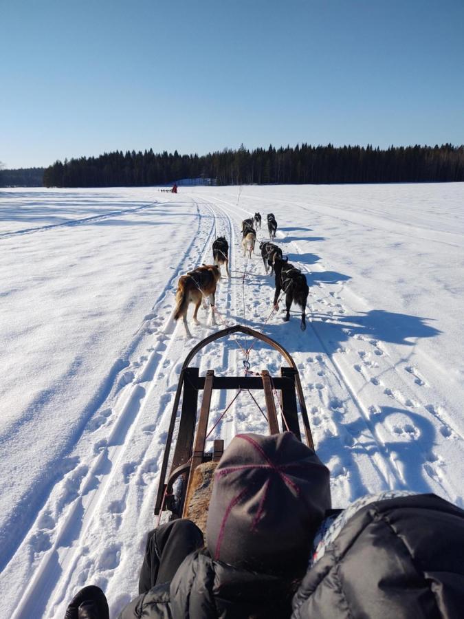 Lagomhuset - A Peaceful Holiday In Swedish Lapland Vidsel Exterior photo